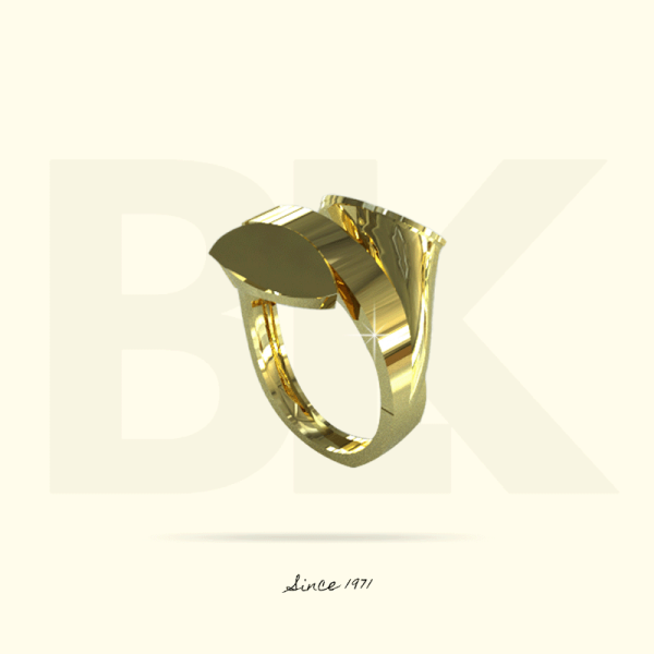 Polished Ring 1